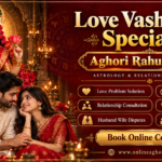 Love Vashikaran Specialist
